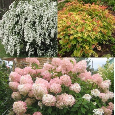 Комплект ФЕЙЕРВЕРК ЛЕТА в Самаре