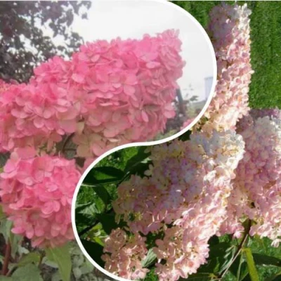 Комплект МНОГОГРАННОСТЬ в Самаре