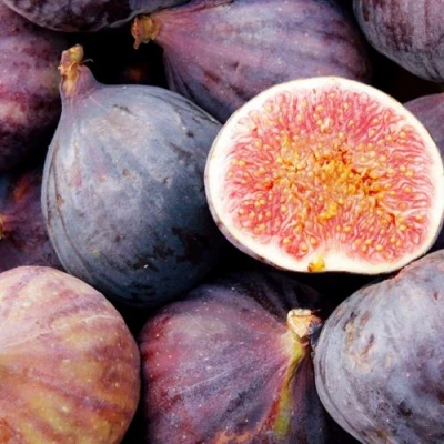 Инжир МУАССОН в Самаре