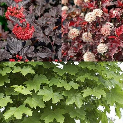 Комплект ОСЕННИЙ КОСТЕР в Самаре