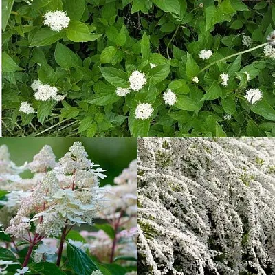 Комплект СКАНДИНАВСКИЙ СТИЛЬ в Самаре