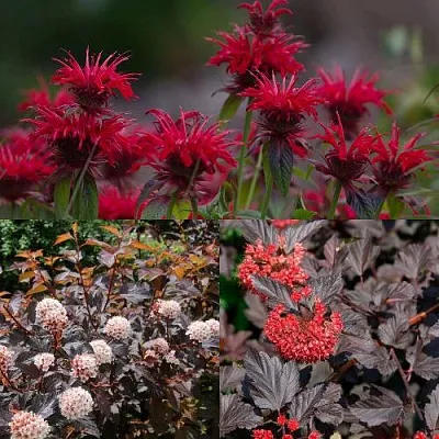 Комплект ОГНЕННЫЙ МИКС в Самаре