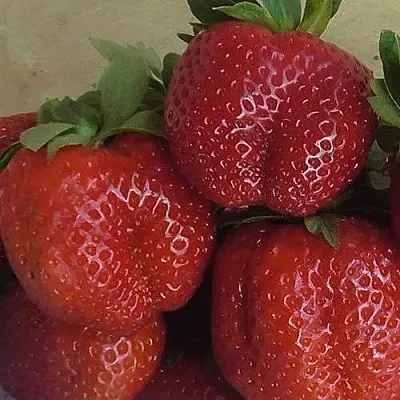 Клубника ДЕСТЕНИ в Самаре