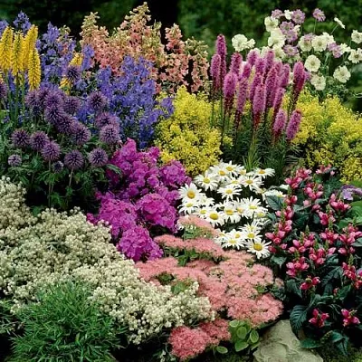 Травы в Самаре