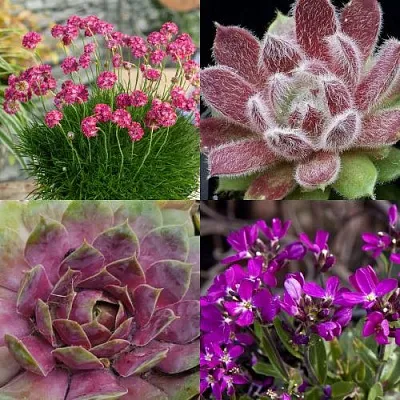 Комплект МИНИ САД в Самаре