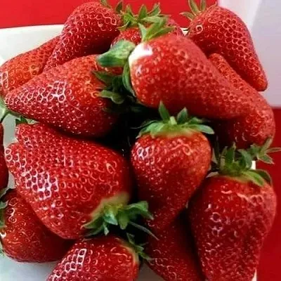 Клубника БРИЛЛА в Самаре