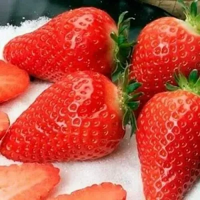 Клубника АЛЬБА в Самаре