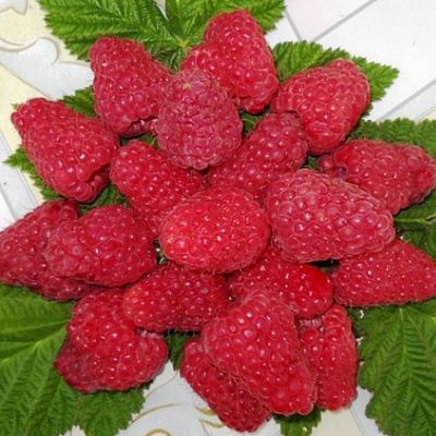 Сладкая в Самаре