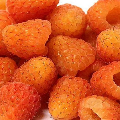 Оранжевая в Самаре