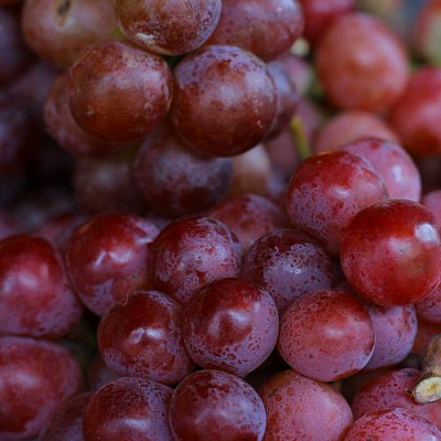 Красный в Самаре